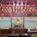 심광사 목조석가모니불좌상 이미지