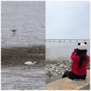 장항화물역 | 서천 가볼만한곳 바다 갯벌체험 미트그린 탐조 여행
