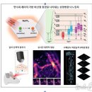 CW메디칼 이미지