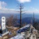 농소목장 Daum카페