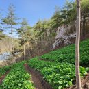 청정농장 이미지