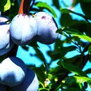 신일용외과의원 이미지