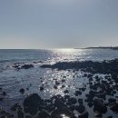 제주아일랜드공인중개사사무소 이미지