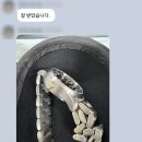 구나바잉 이탈리아 구매대행 배송대행 배대지 이베이 빈티드 수비토 막스마라 인트렌드 후기!