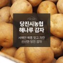 당진시농협해나루조합공동사업법인 이미지
