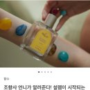 르플랑(Le plein) 이미지