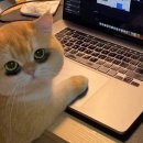 경복여고 이미지