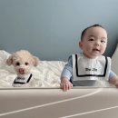 쿠름