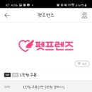 펫 & 쇼핑 이미지
