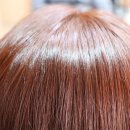 헤어리치맘 - 수원시 영통구 | 헤어리치맘