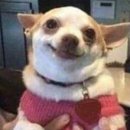 명품곱창 이미지