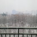 시영아파트 이미지