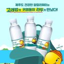 제주청정수 이미지