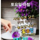 토요일 이미지