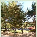 세명부동산공인중개사사무소 이미지