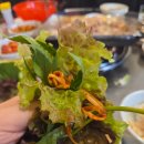 만만 | 수원 곡반정동 냉삼 맛집 겉절이 맛이 일품인 만만한냉삼 내돈내산 후기