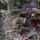 남해-272 이미지