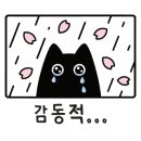 숙이네전집 네이버블로그
