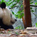 문화관광 코스 이미지