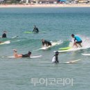 양양 이미지