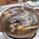 세븐일레븐전주화산제일점 | 전주 해신탕 “화산능이금닭” 내돈내산 복날 몸보신 후기