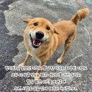 두리 스토리 Daum카페