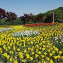 벽산행정사 이미지