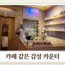 프로방스 노래연습장 이미지