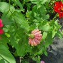 용비쉼터 이미지