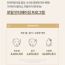 백설공주 에스테틱 이미지