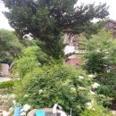 읍내3로 이미지