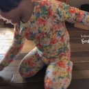 블루밍로즈 이미지