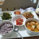 [청담소리이비인후과] 인공와우 수술 비용, 기간, 회복 등 병원담 후기