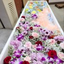 조선대학교병원 이미지