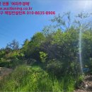 용암태양광발전소 이미지