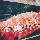 월참치 이미지