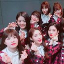 나인컨셉 이미지
