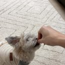 카페스테이지 이미지
