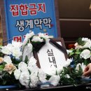 민주당구장 이미지