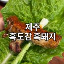 [제주] 단짠단짠 멜젓이 맛있는 제주도 흑돼지 맛집 추천 - 흑도감흑돼지