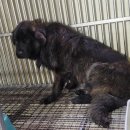 문경가축병원 이미지