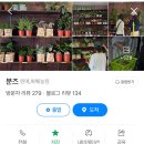 분즈 티스토리
