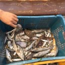 희안민박 이미지