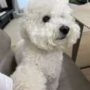 멍설유치원 이미지