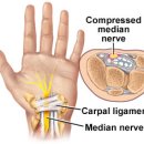 삼성바른움직임트레이닝센터 이미지