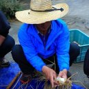 남은농장 이미지