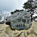 10월31일 제523차 주왕산 단풍산행 이미지