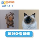 펫아뜰리에 네이버블로그