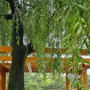 고성해양레포츠아카데미 | 10월 일상(신불산 / 내원사 / 고성해양레포츠아카데미 / 상족암 / 소노캄 웰니스풀앤스파)