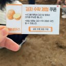 용인농장 | 용인 아기 체험 농장 추천｜블루베리 수확부터 동물 먹이주기까지! 헤븐온어스 후기